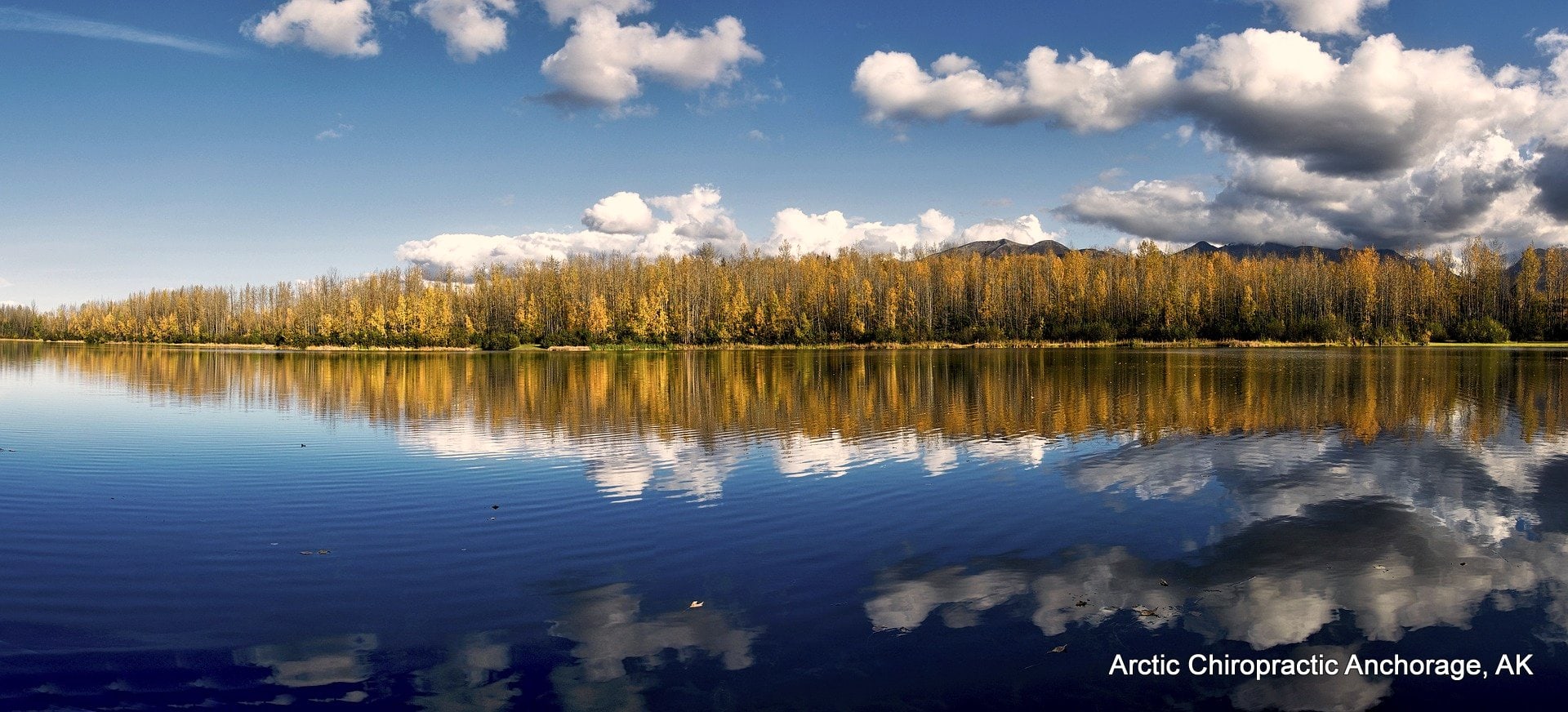 NunakaValley Arctic Chiropractic Anchorage Massage & Physical Therapy